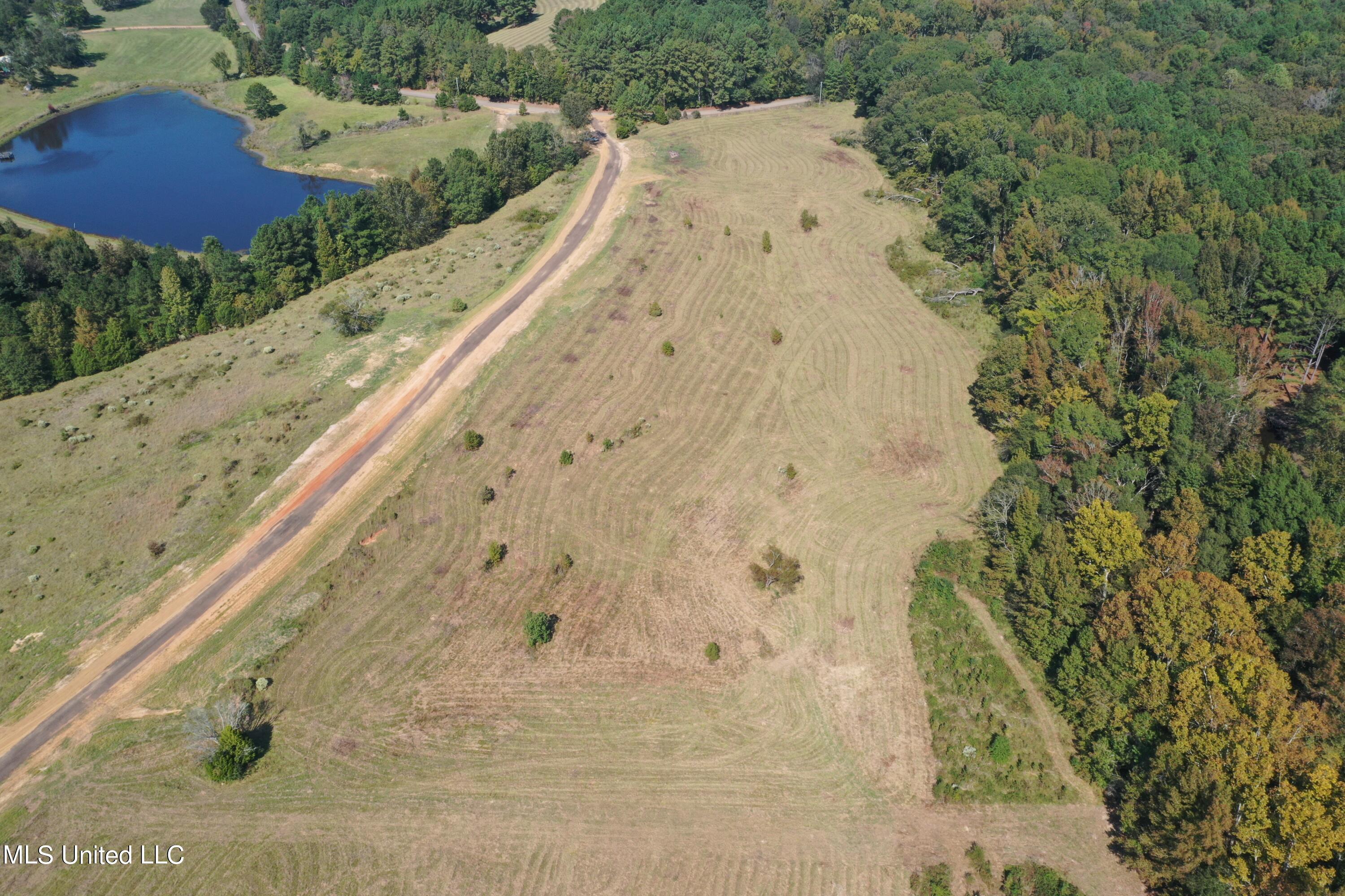 Cedar Hill Rd Road Flora, MS 39071 - Photo 4 of 9 DJI_0968