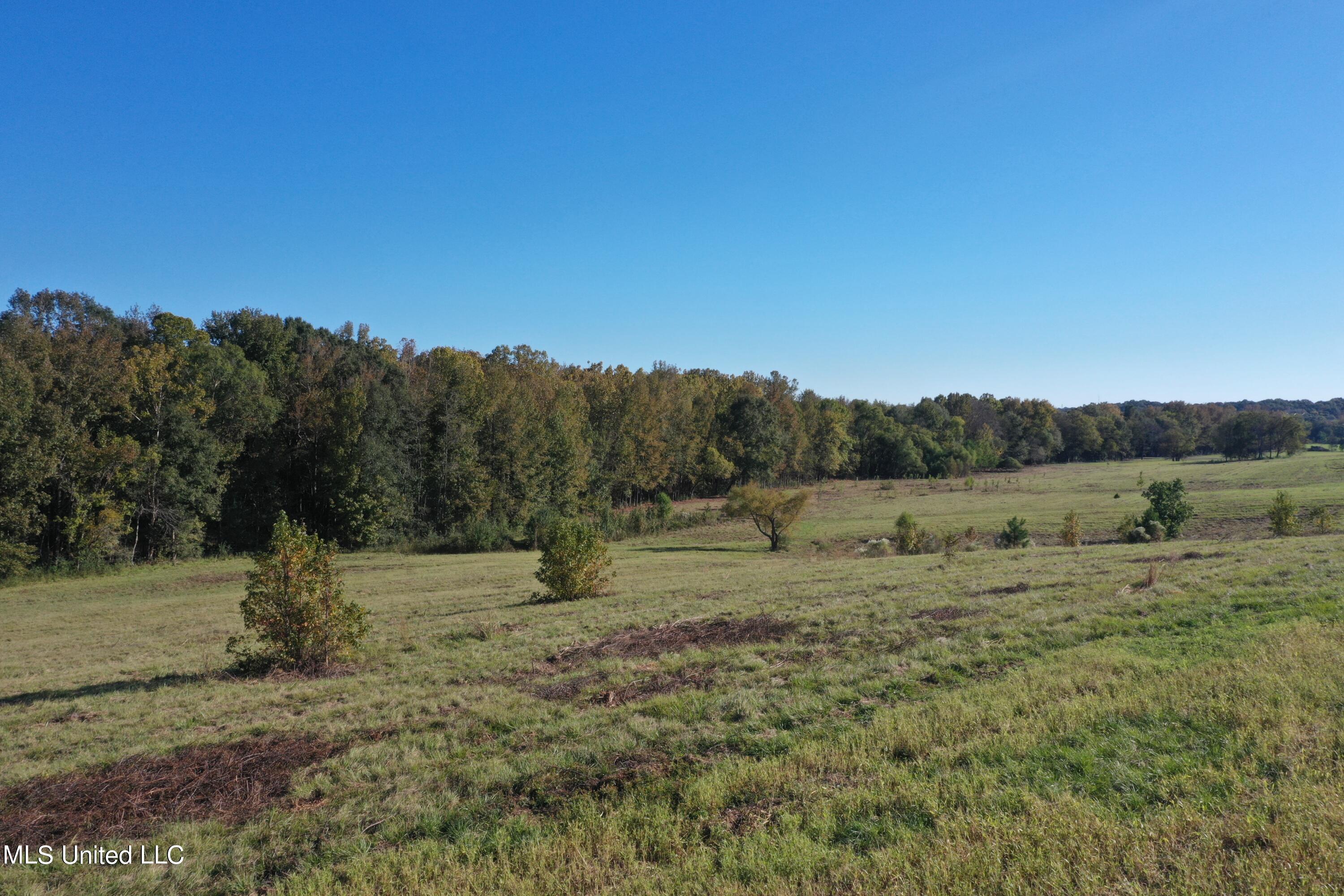 Cedar Hill Rd Road Flora, MS 39071 - Photo 5 of 9 DJI_0994