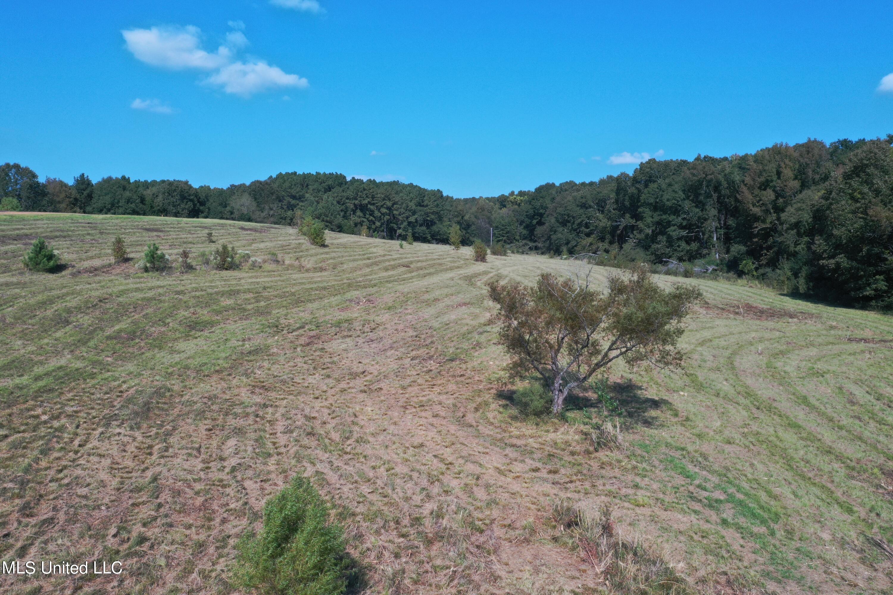 Cedar Hill Rd Road Flora, MS 39071 - Photo 6 of 9 DJI_0971