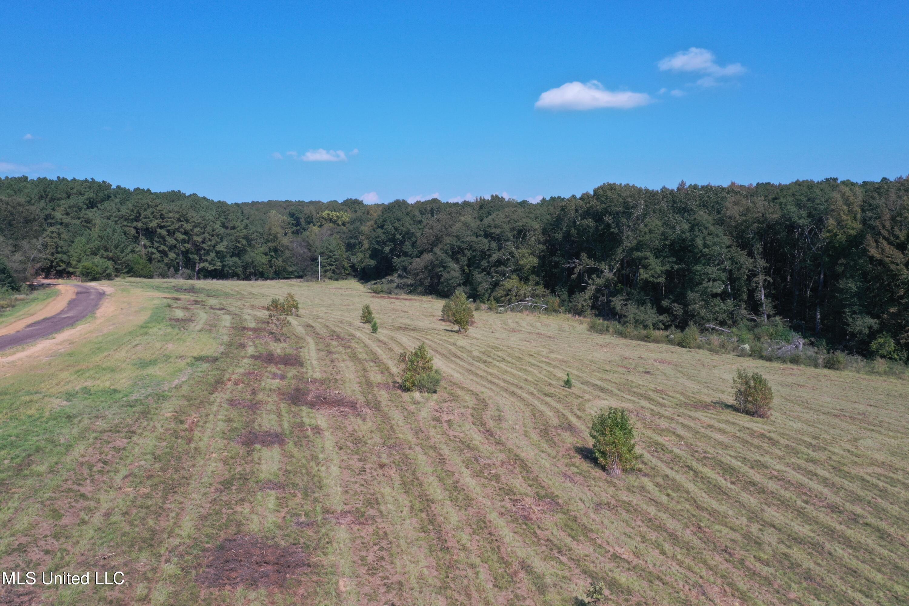 Cedar Hill Rd Road Flora, MS 39071 - Photo 7 of 9 DJI_0972