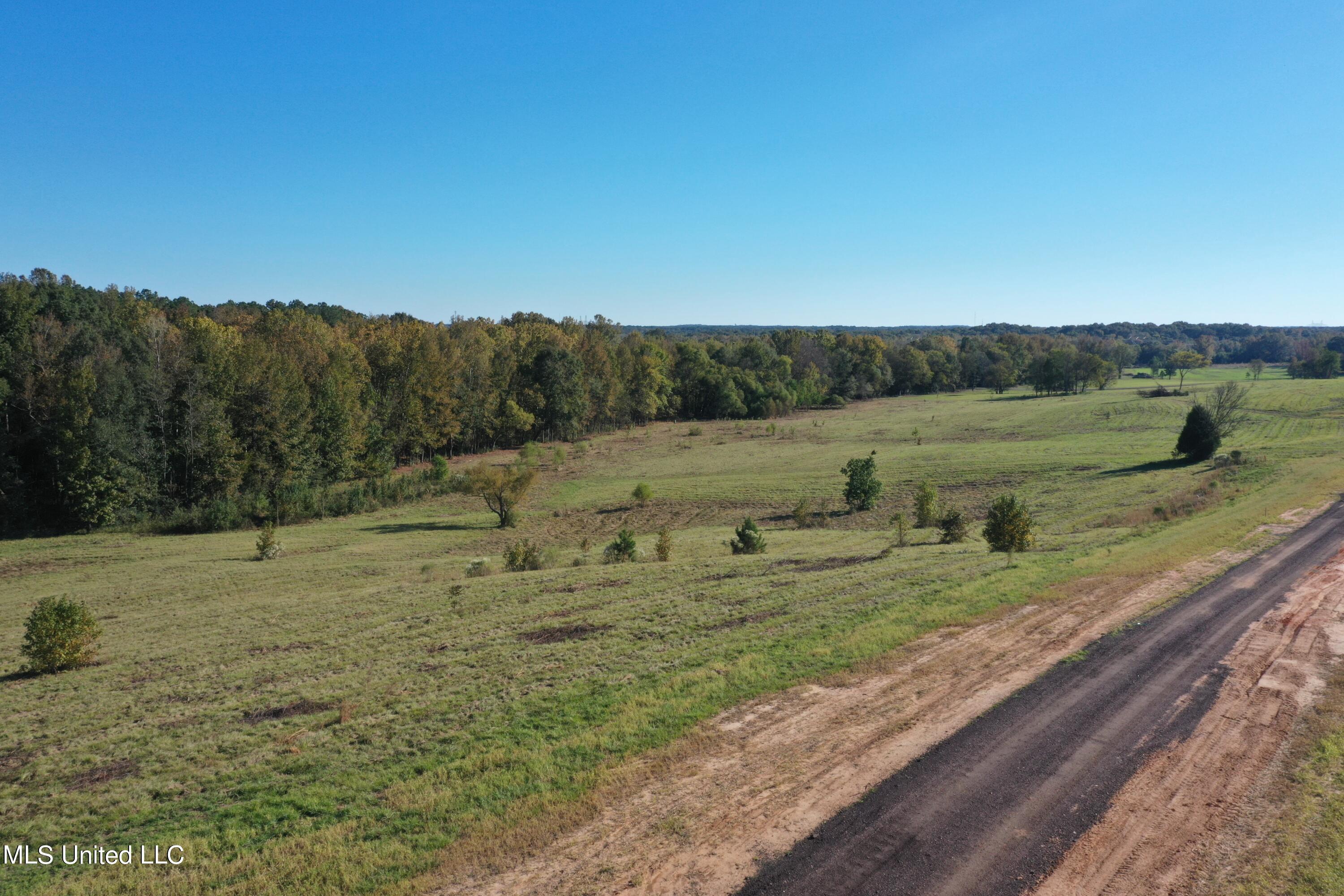 Cedar Hill Rd Road Flora, MS 39071 - Photo 8 of 9 DJI_0991