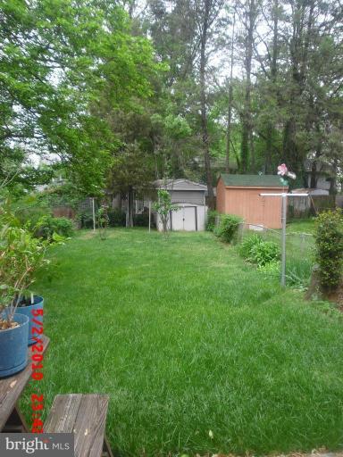 11928 Bluhill Road Silver Spring, MD 20902 - Photo 11 of 19 Back yard
