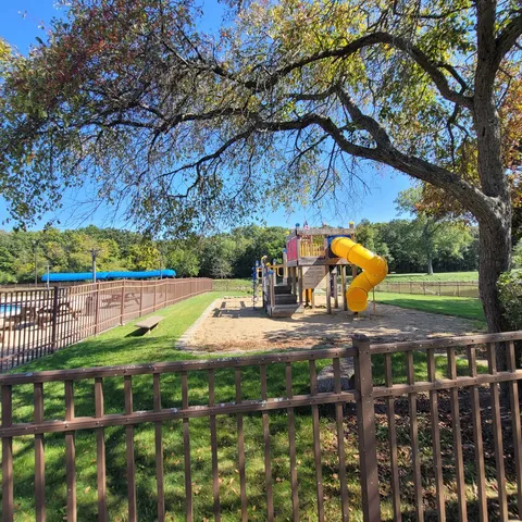 a view of a park with large trees