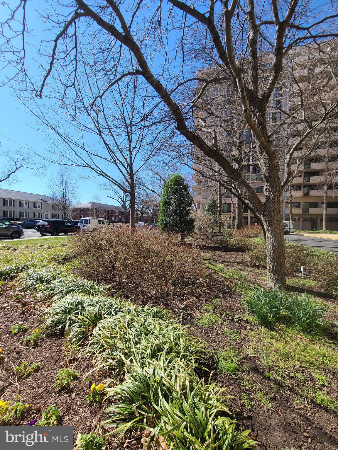 4141 North Henderson Road, Unit 801 Arlington, VA 22203 - Photo 11 of 65