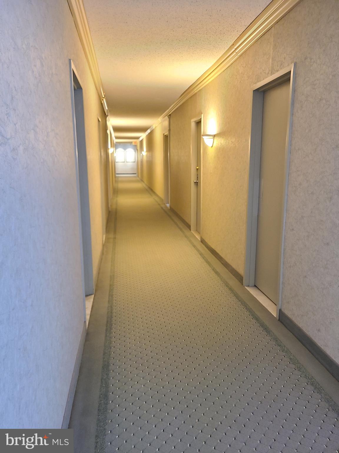 4141 North Henderson Road, Unit 801 Arlington, VA 22203 - Photo 15 of 65 8th floor hallway