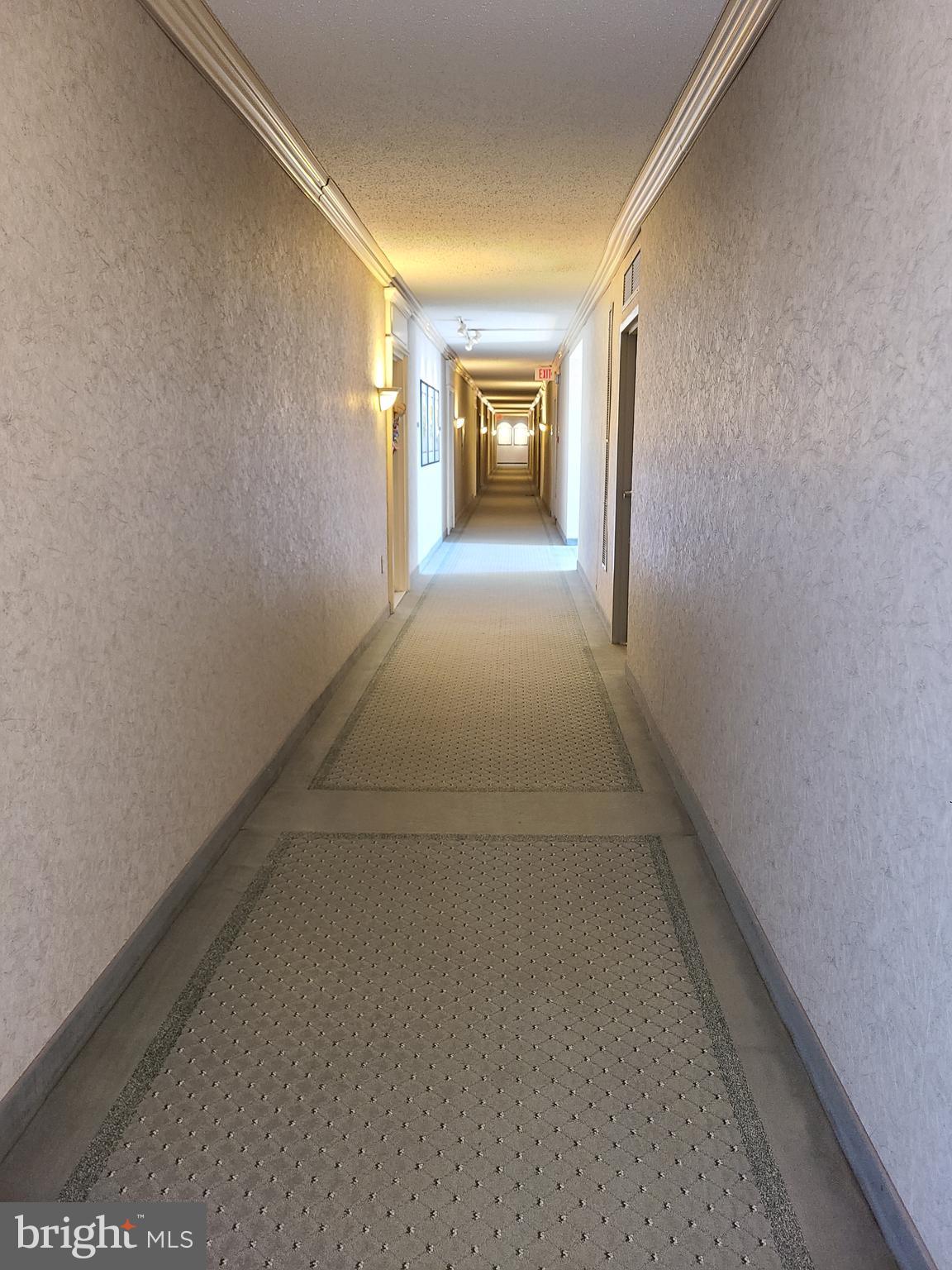 4141 North Henderson Road, Unit 801 Arlington, VA 22203 - Photo 16 of 65 8th floor hallway