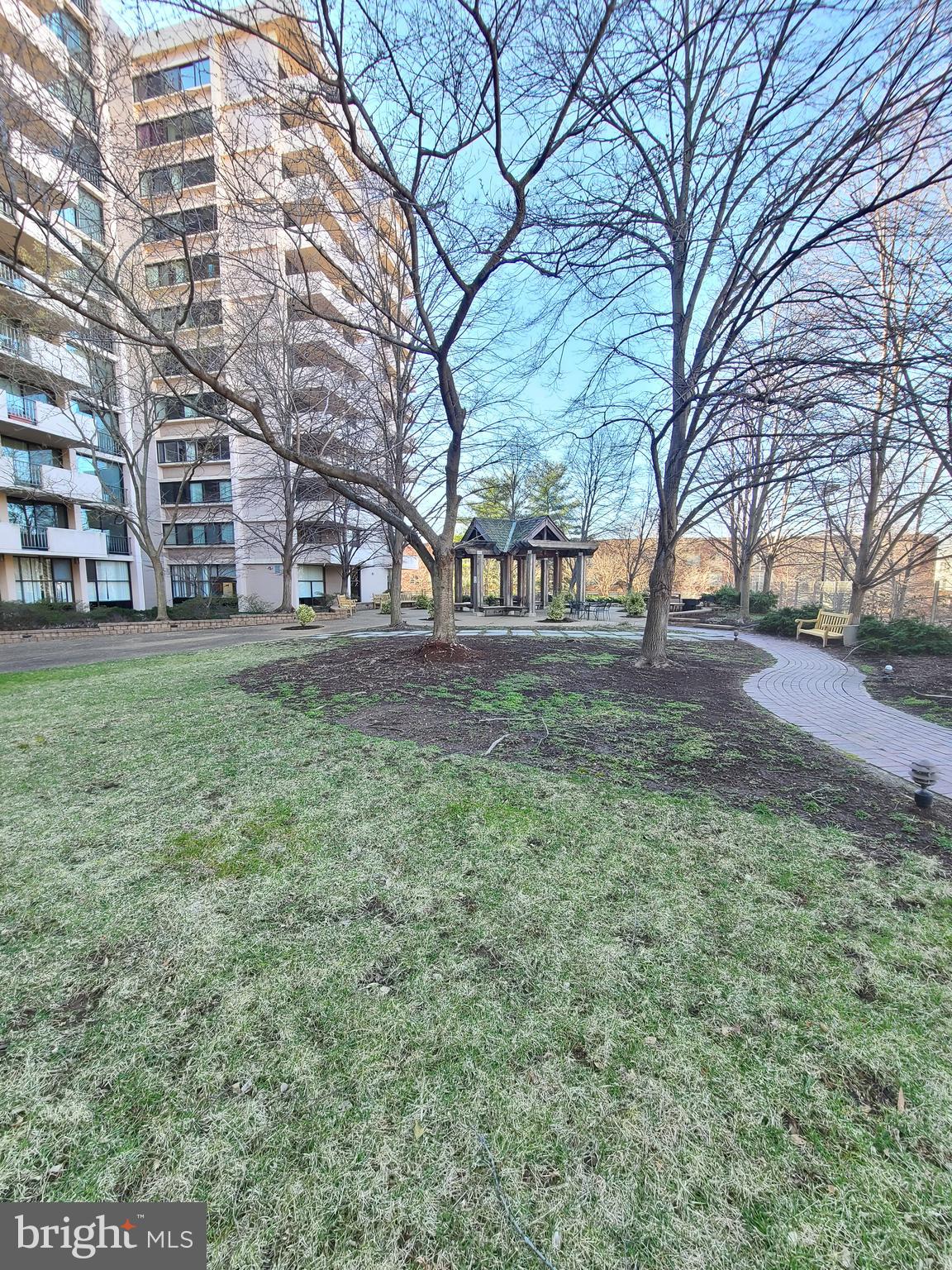 4141 North Henderson Road, Unit 801 Arlington, VA 22203 - Photo 52 of 65 Lot of green in the spring