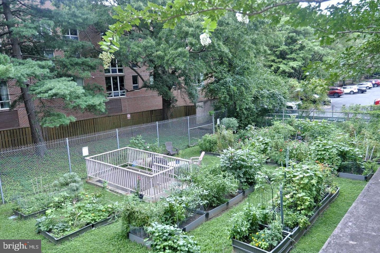 4141 North Henderson Road, Unit 801 Arlington, VA 22203 - Photo 61 of 65 Community Garden