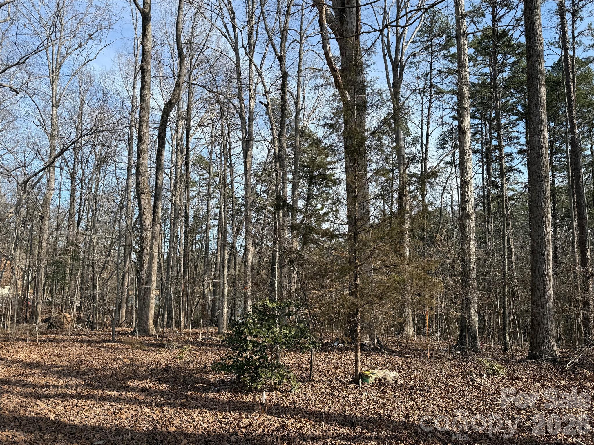 868 Bellegray Road Clover, SC 29710 - Photo 5 of 12 Gallery Image 5