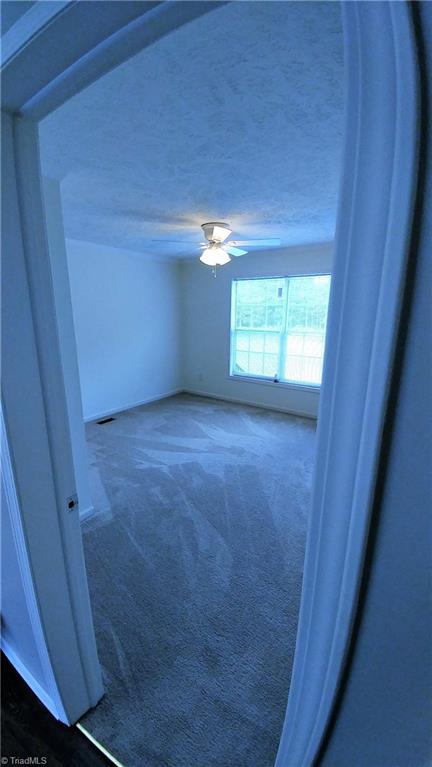 2582 Collinstown Road Westfield, NC 27053 - Photo 8 of 20