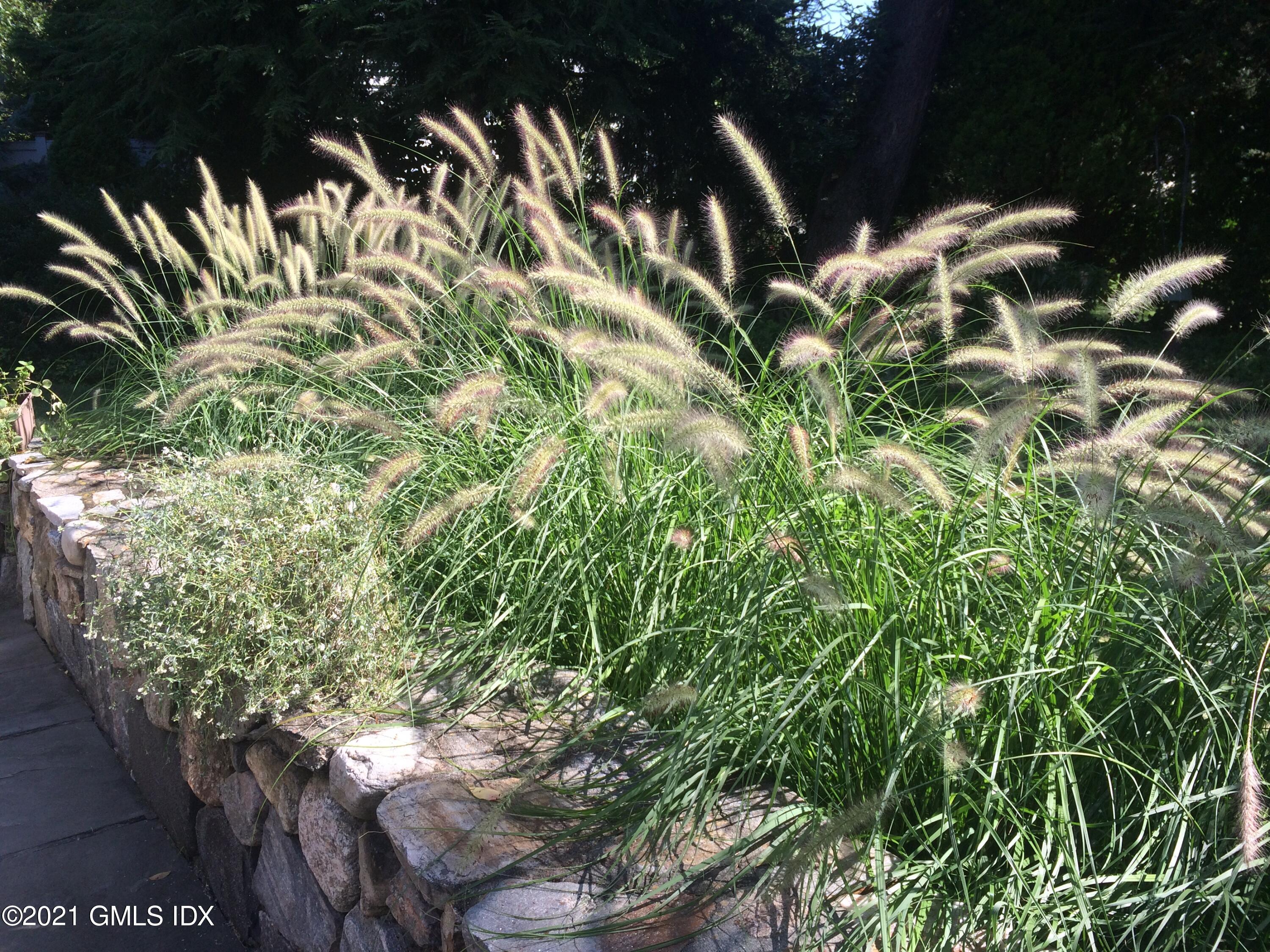 3 Old Wagon Road Old Greenwich, CT 06870 - Photo 20 of 37 a backyard of a house with lots of green space
