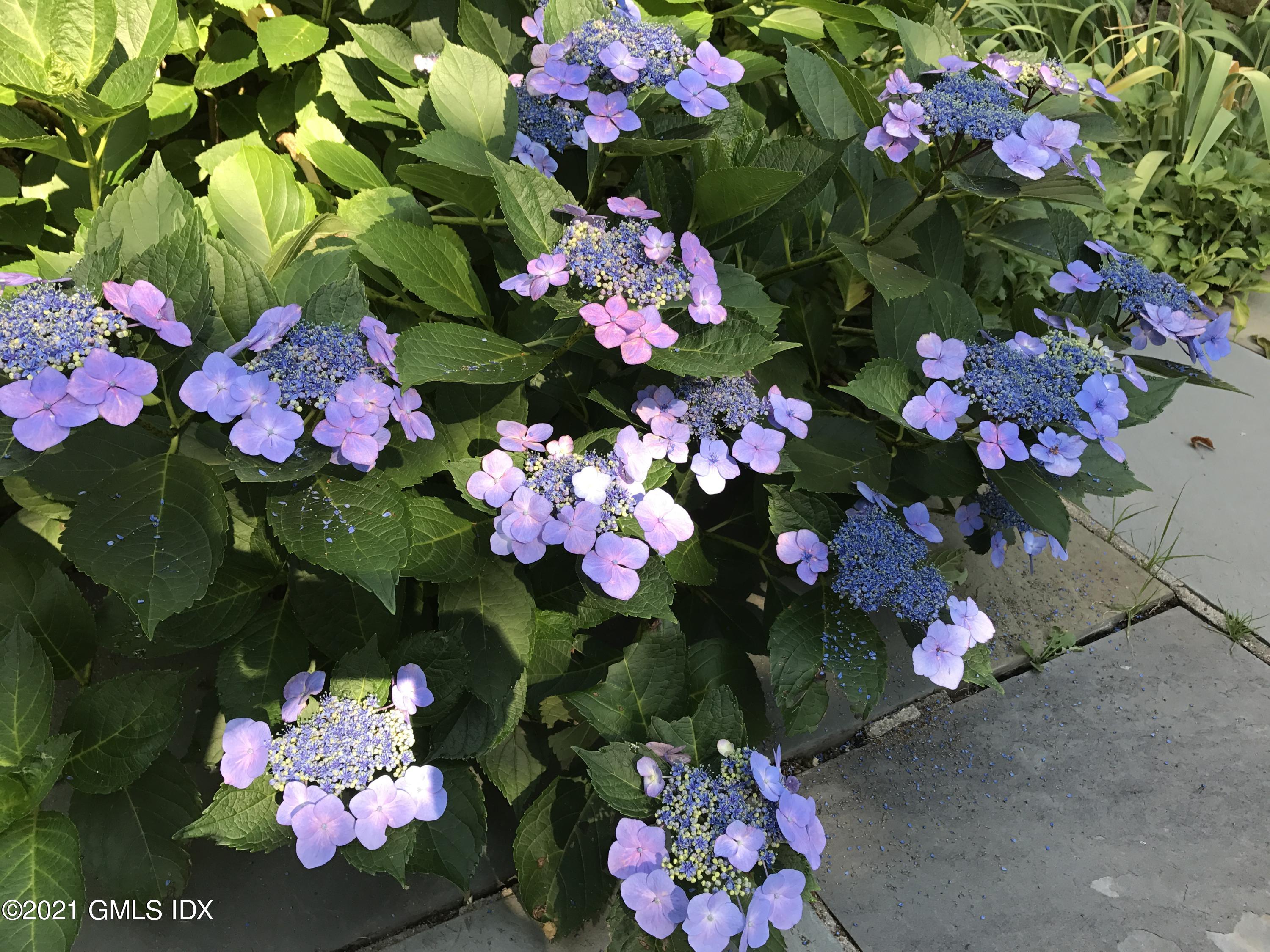 3 Old Wagon Road Old Greenwich, CT 06870 - Photo 28 of 37