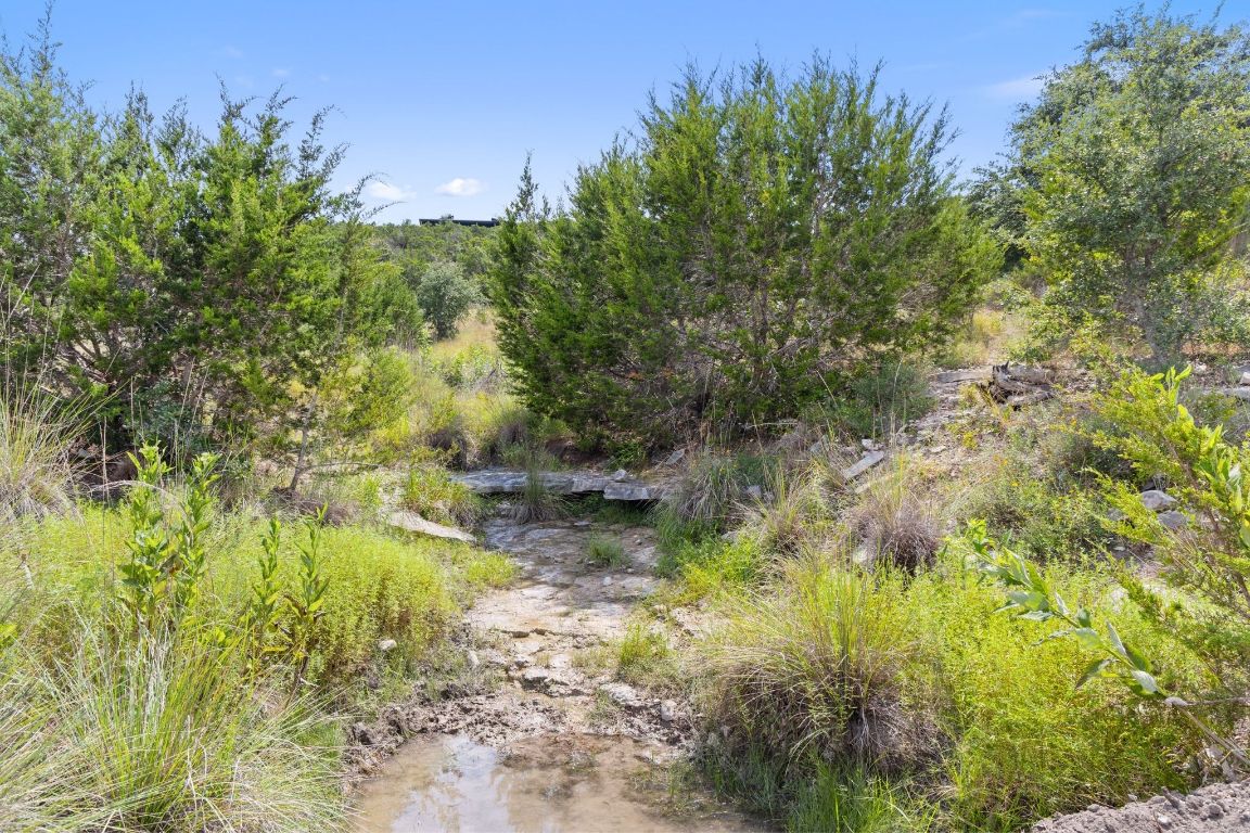 11 Sacramento Boerne, TX 78006 - Photo 36 of 40 View of nature