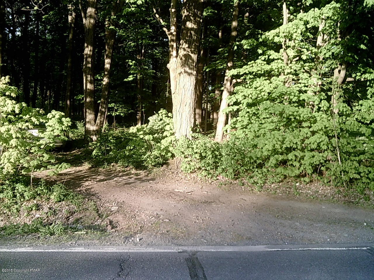 134 Learn Road Tannersville, PA 18372 - Photo 3 of 8 SUNP0013