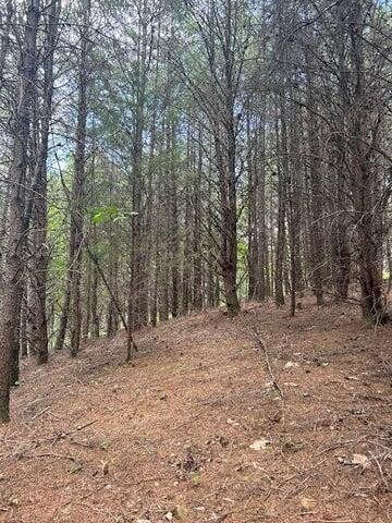 5 Owl Hollow Road Southwest McDonald, TN 37353 - Photo 21 of 32