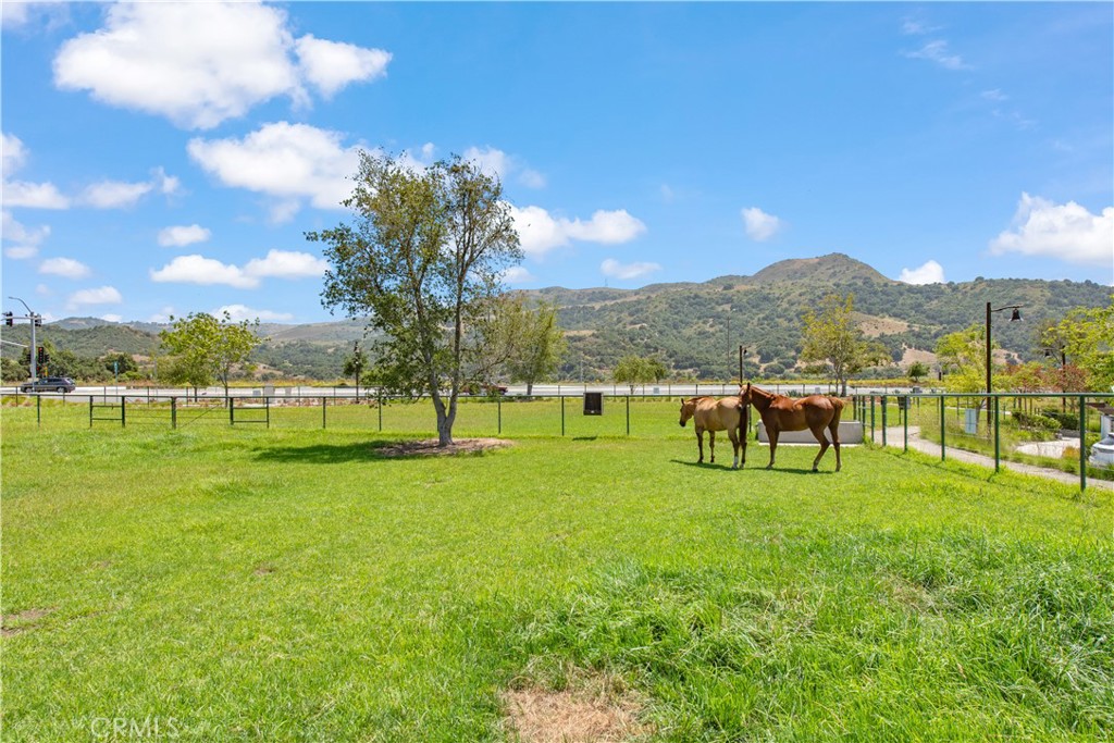 211 Ruby Road Rancho Mission Viejo, CA 92694 - Photo 41 of 41 a view of a golf course with a garden