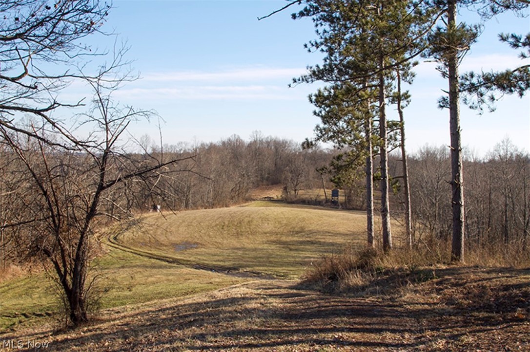37373 Kinney Ridge Road Woodsfield, OH 43793 - Photo 1 of 29 Gallery Image 1
