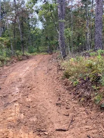 $32,900 | 152 Madison Cr, Fredericktown, MO 63645