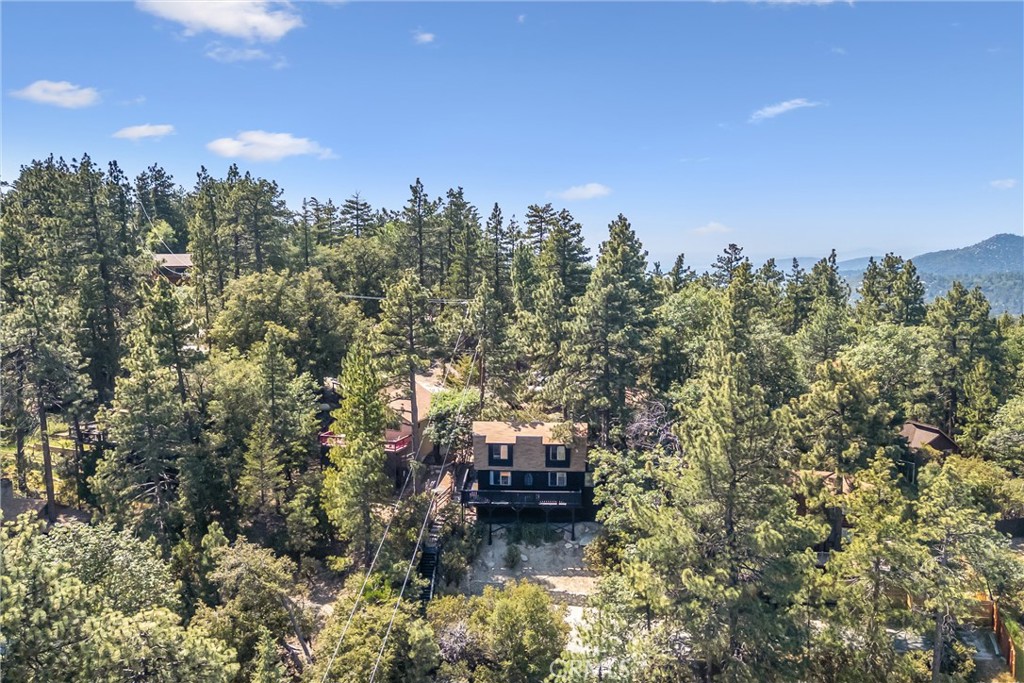 24875 Marion Ridge Drive Idyllwild, CA 92549 - Photo 44 of 48