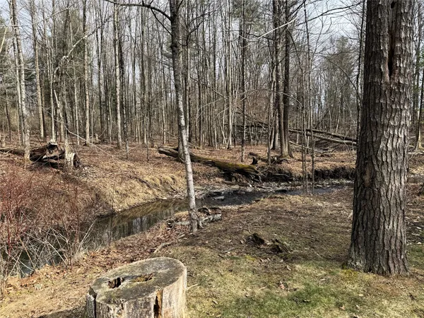 $285,300 | 284 Ridgefield Road, Endicott, NY 13760