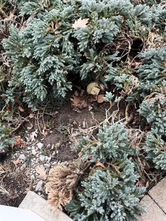 $285,300 | 284 Ridgefield Road, Endicott, NY 13760