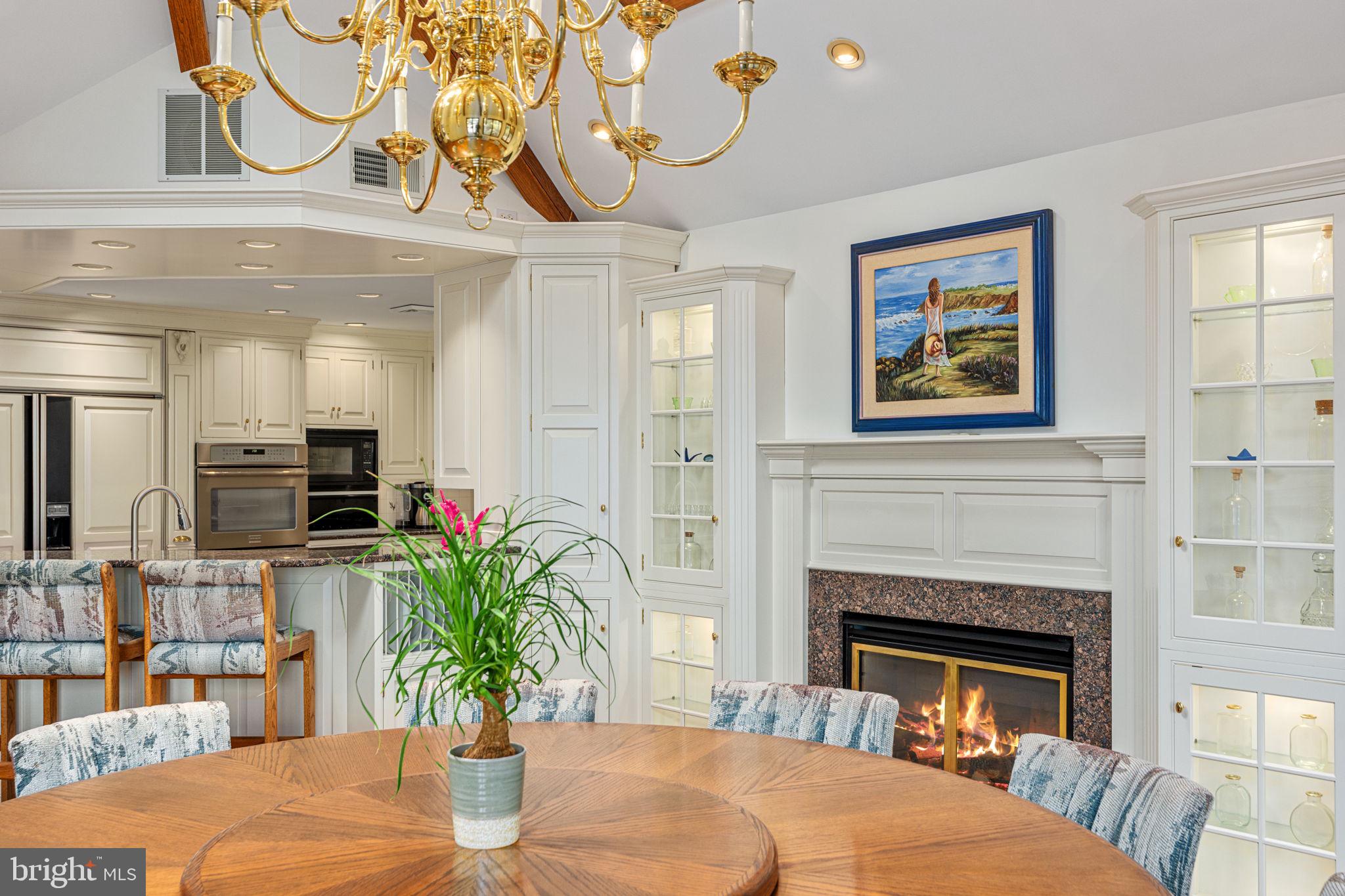 1995 Peppermint Road Coopersburg, PA 18036 - Photo 18 of 67 a living room with furniture a fireplace and a potted plant