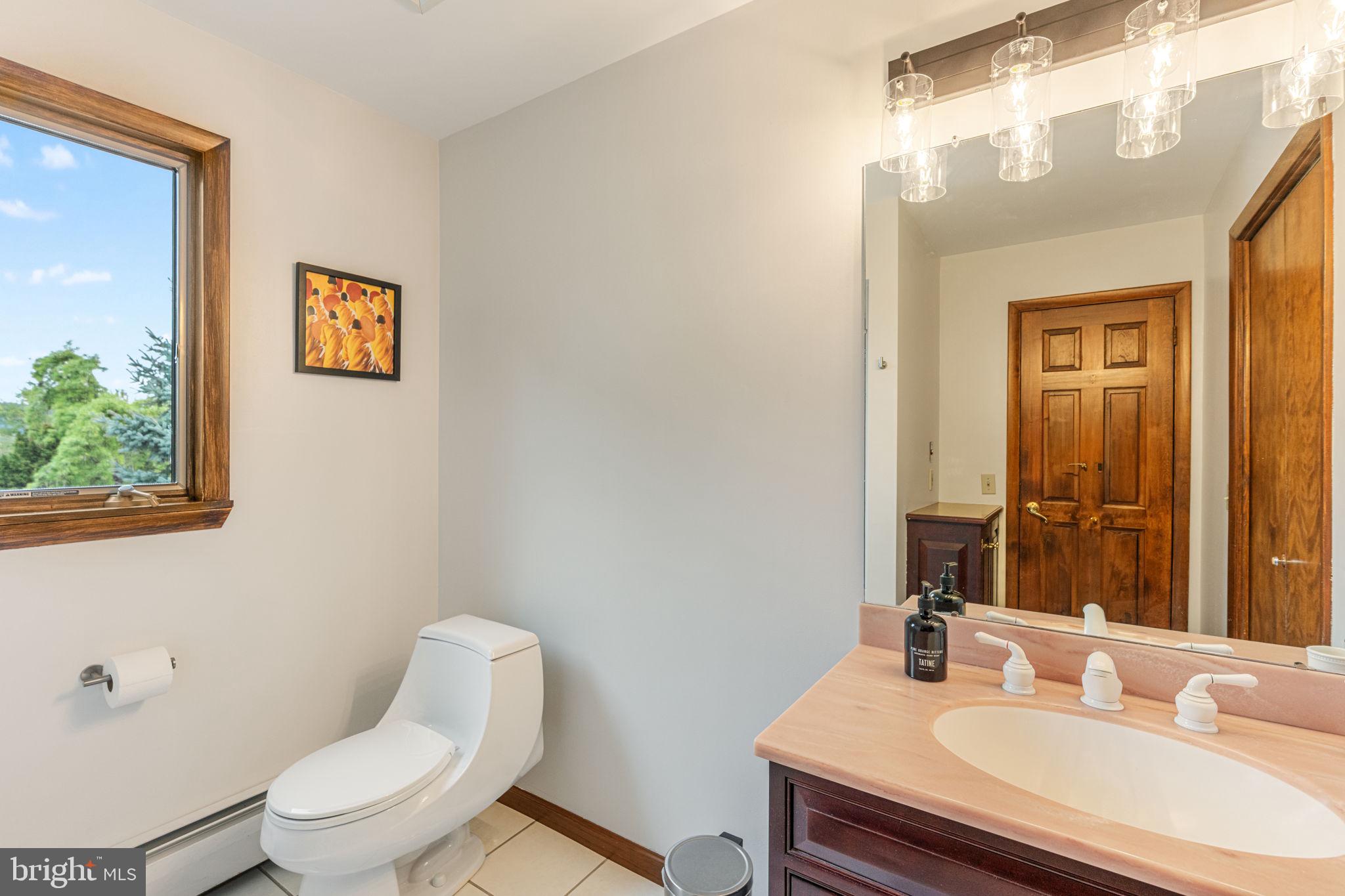 1995 Peppermint Road Coopersburg, PA 18036 - Photo 49 of 67 a bathroom with a sink vanity mirror and toilet