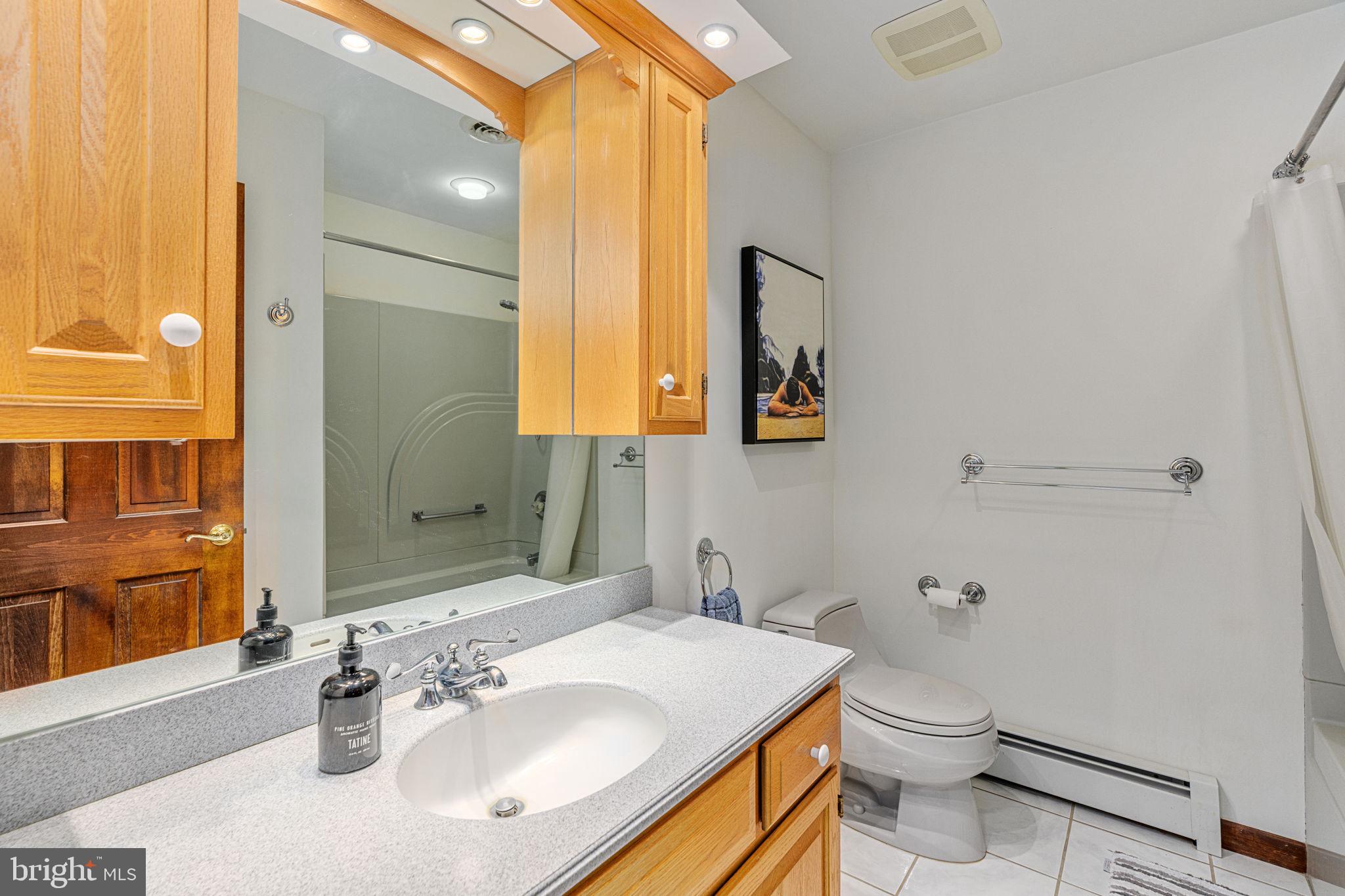 1995 Peppermint Road Coopersburg, PA 18036 - Photo 51 of 67 a bathroom with a sink vanity mirror and toilet