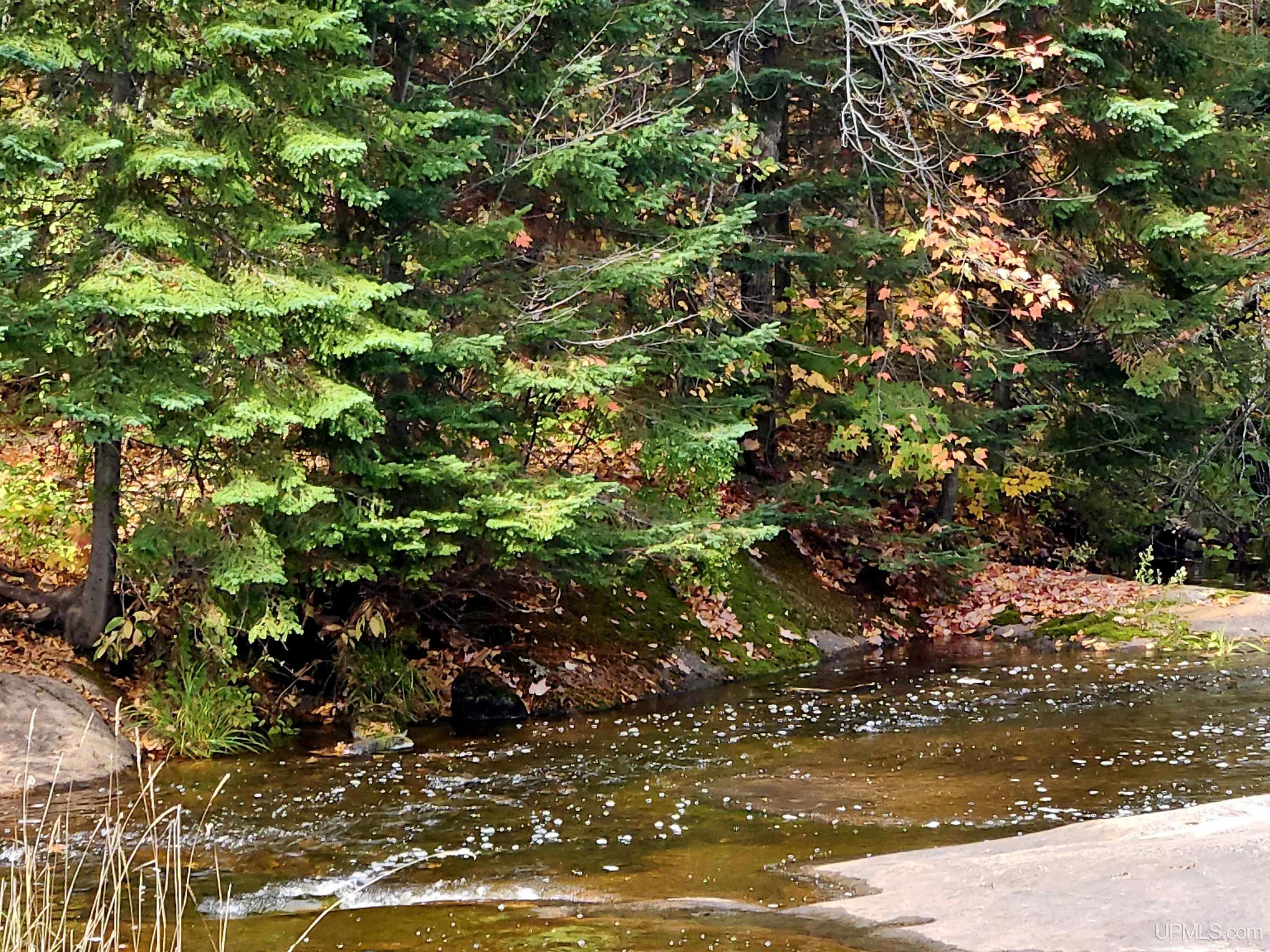 Tbd McDonald Dam Road Ironwood, MI 49938 - Photo 8 of 20