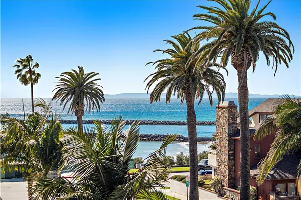 a view of outdoor space with palm trees