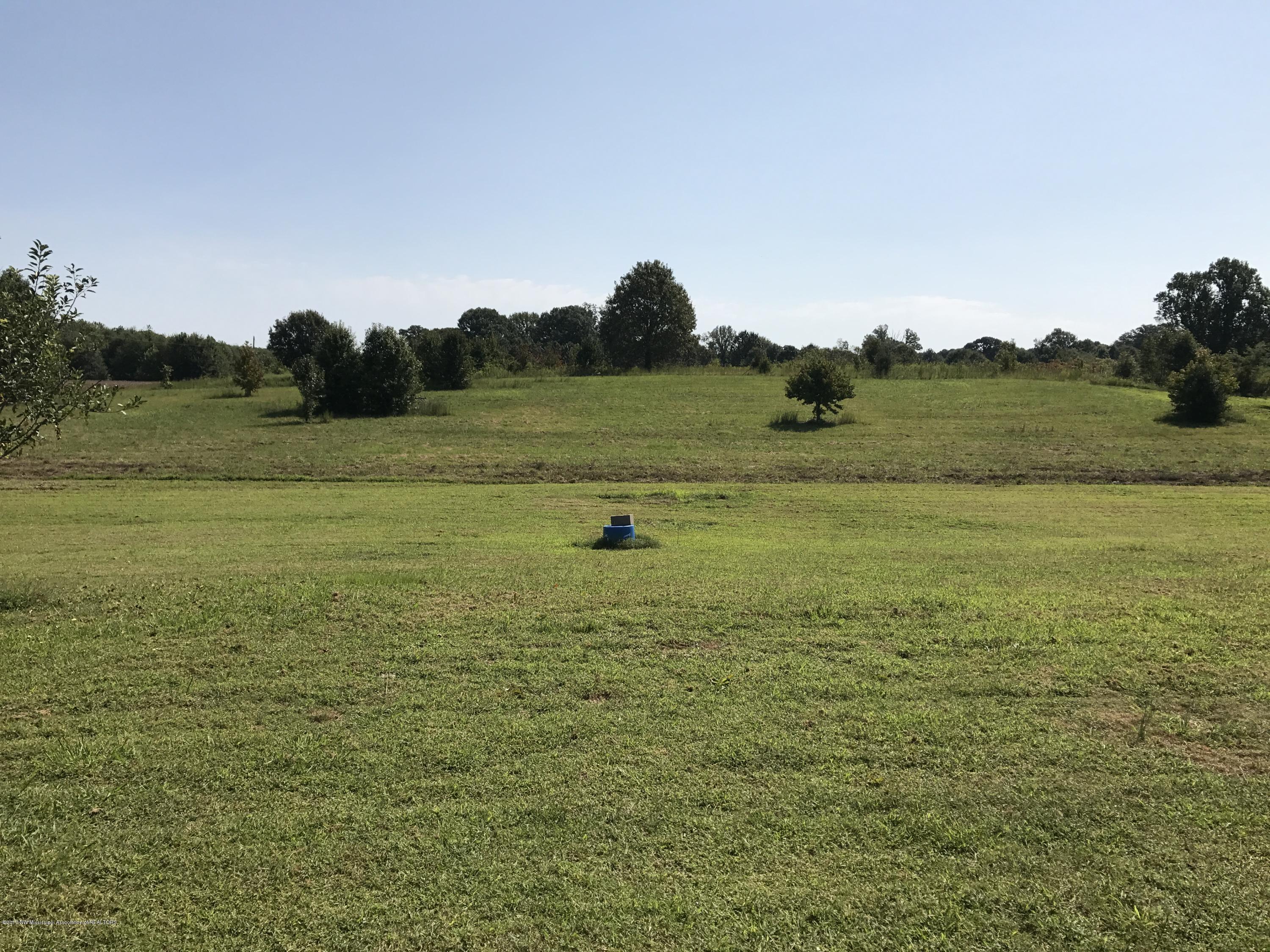 2970 Veazey Road Senatobia, MS 38668 - Photo 3 of 16 IMG_0509