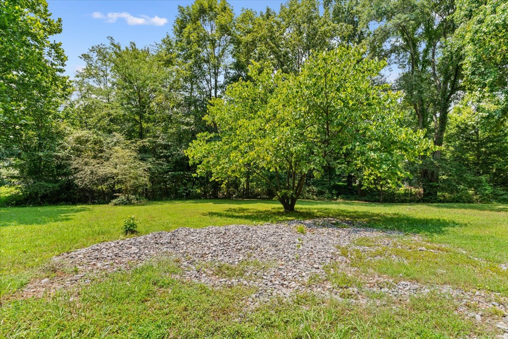 155 Red Road Chatsworth, GA 30705 - Photo 37 of 43
