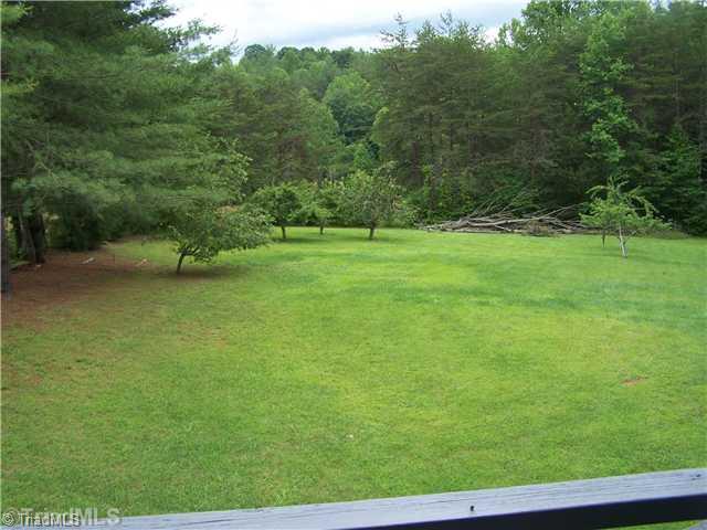 1409 Bud Tilley Road Pinnacle, NC 27043 - Photo 13 of 14 Land.