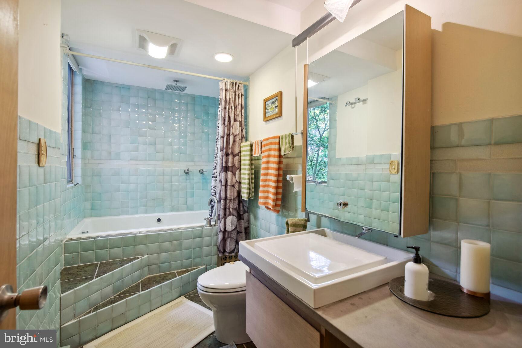 315 Ellisdale Road Chesterfield, NJ 08515 - Photo 19 of 45 a bathroom with a sink a toilet and shower
