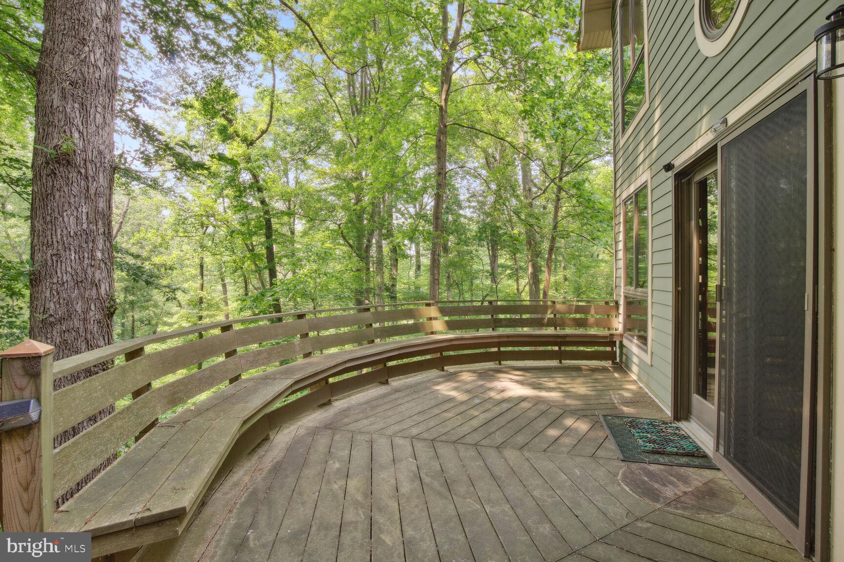 315 Ellisdale Road Chesterfield, NJ 08515 - Photo 37 of 45 a view of a pathway with a backyard