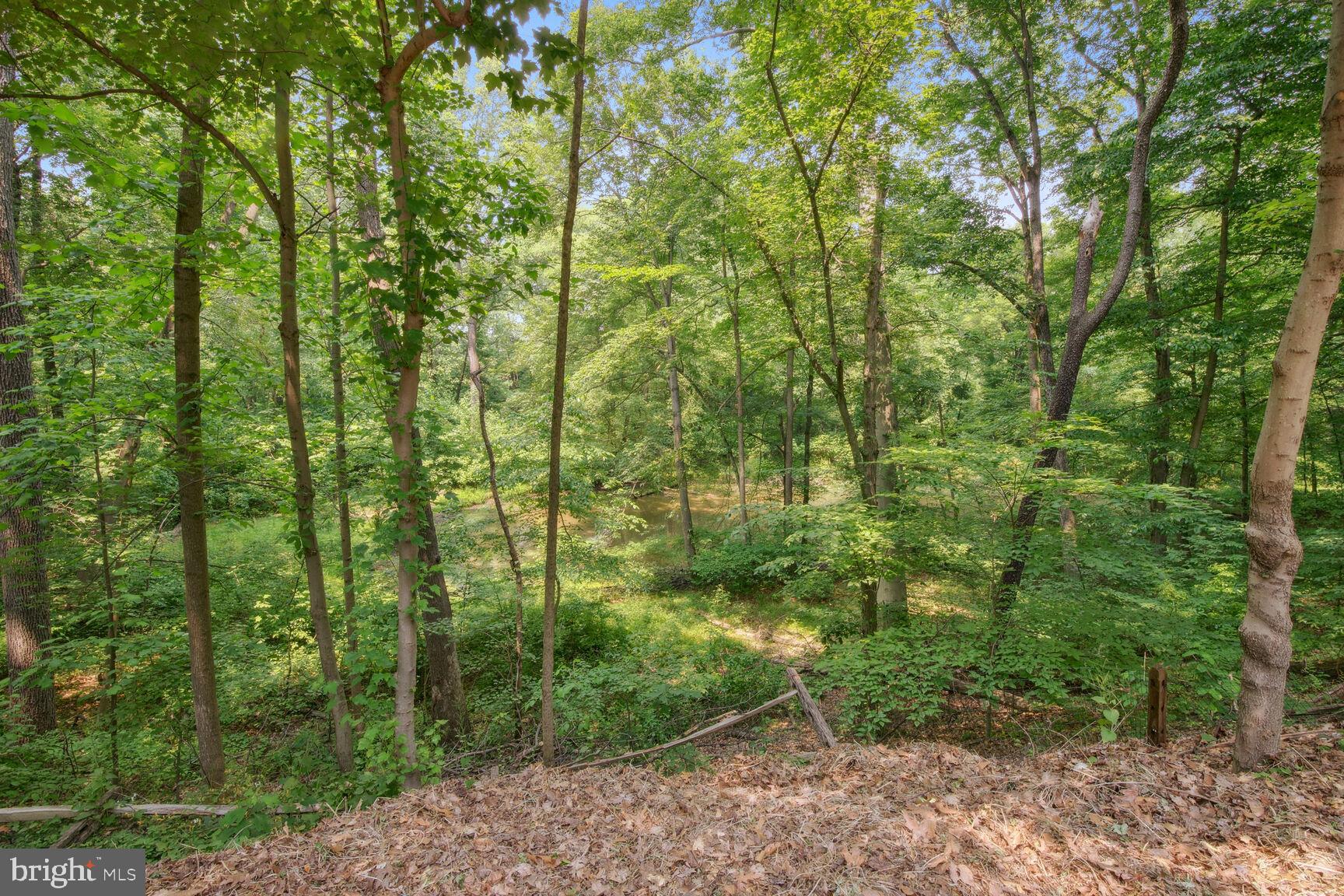 315 Ellisdale Road Chesterfield, NJ 08515 - Photo 38 of 45 a view of a forest with trees