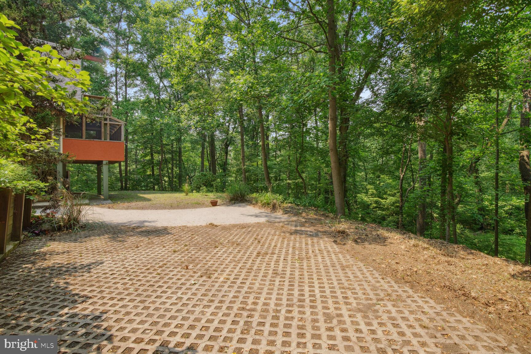 315 Ellisdale Road Chesterfield, NJ 08515 - Photo 39 of 45 a pathway of a yard