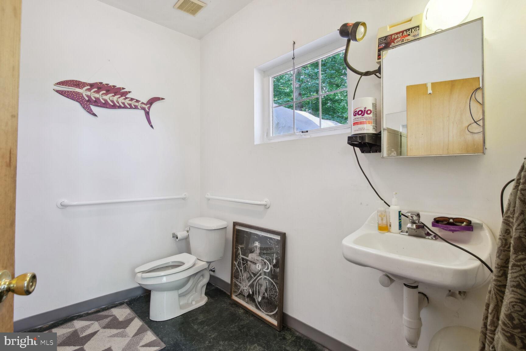 315 Ellisdale Road Chesterfield, NJ 08515 - Photo 42 of 45 a bathroom with a toilet sink and mirror