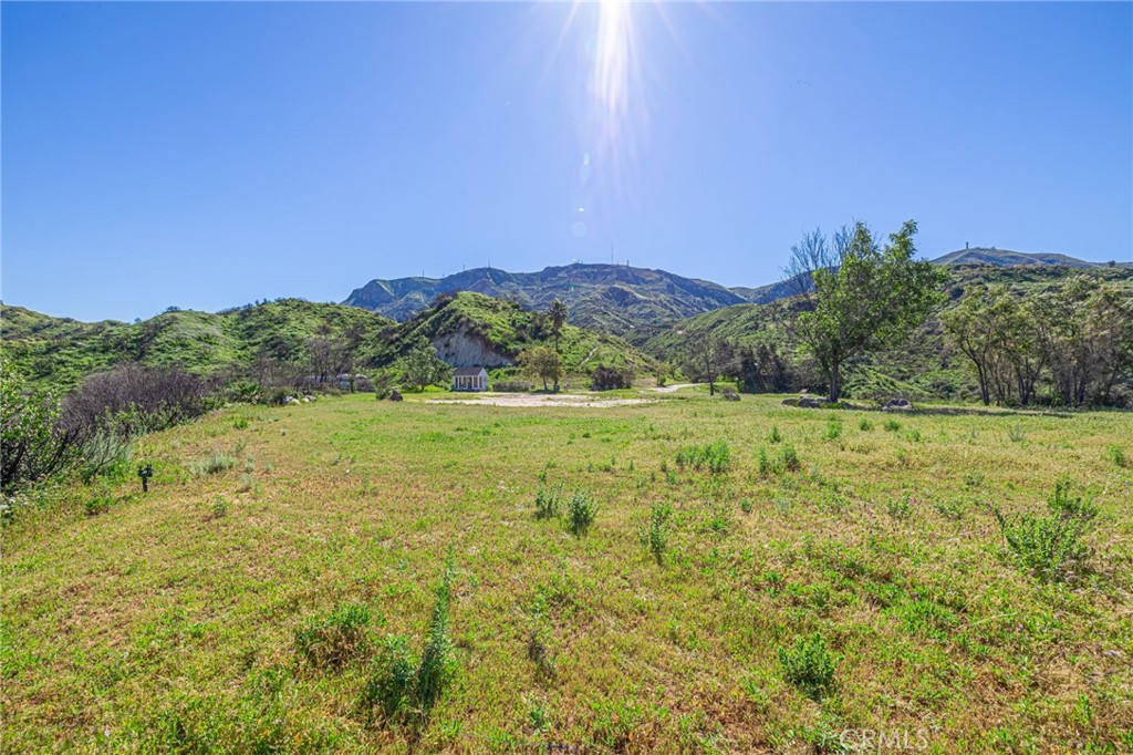 18500 South Mountain Road Santa Paula, CA 93060 - Photo 21 of 35 a view of a green field with mountains in the background