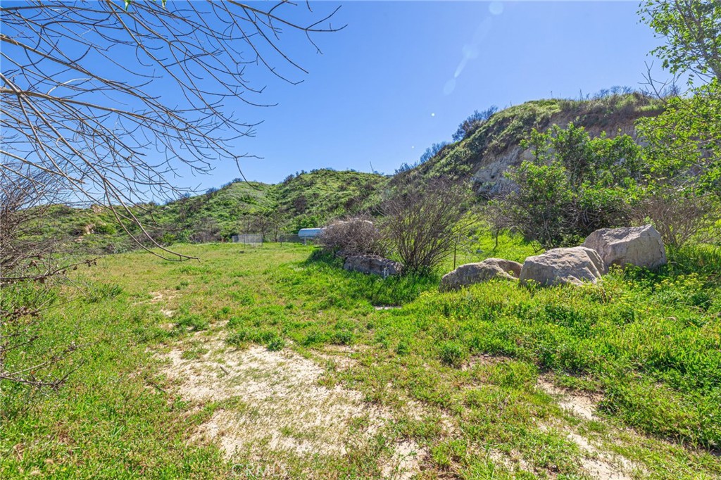 18500 South Mountain Road Santa Paula, CA 93060 - Photo 27 of 35 a backyard of a house with lots of green space