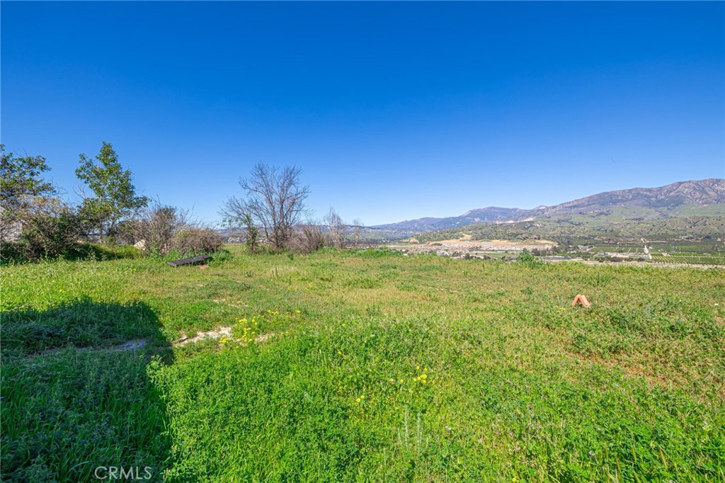 18500 South Mountain Road Santa Paula, CA 93060 - Photo 29 of 35 a view of an outdoor space and a yard