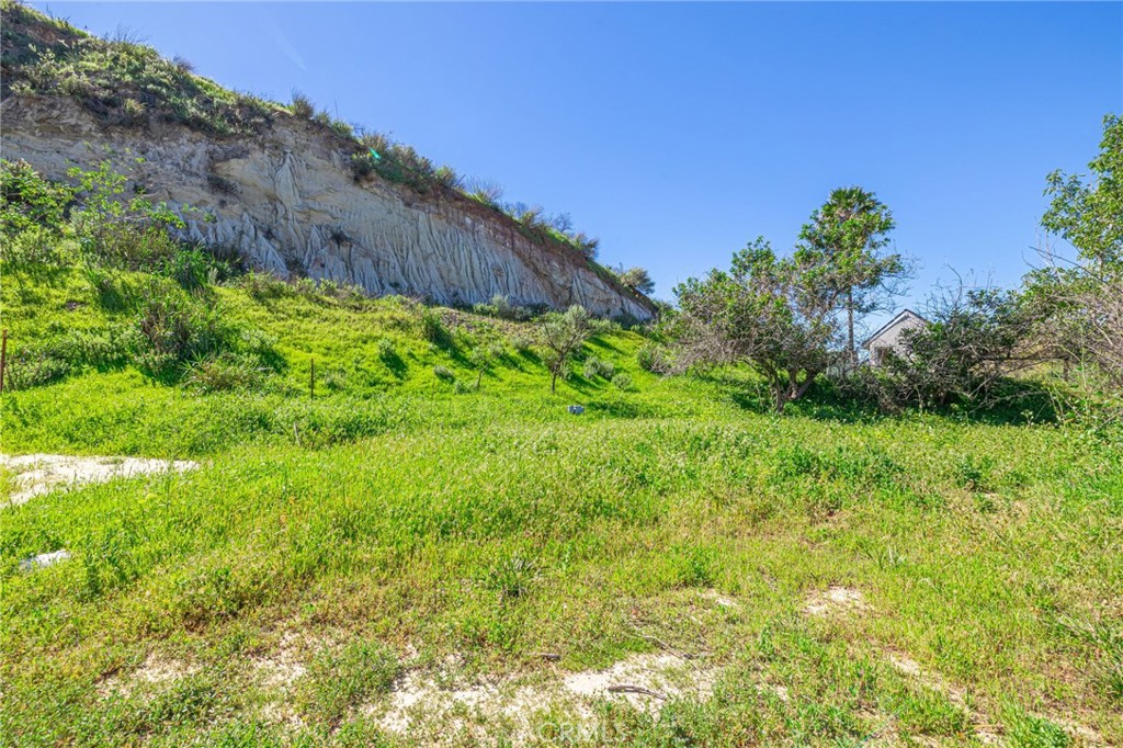 18500 South Mountain Road Santa Paula, CA 93060 - Photo 30 of 35 a backyard of a house with lots of green space