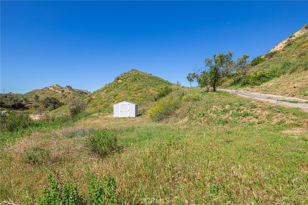 18500 South Mountain Road Santa Paula, CA 93060 - Photo 35 of 35 a view of a large tree with a yard