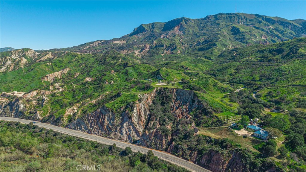 18500 South Mountain Road Santa Paula, CA 93060 - Photo 6 of 35 a view of a yard with a tree