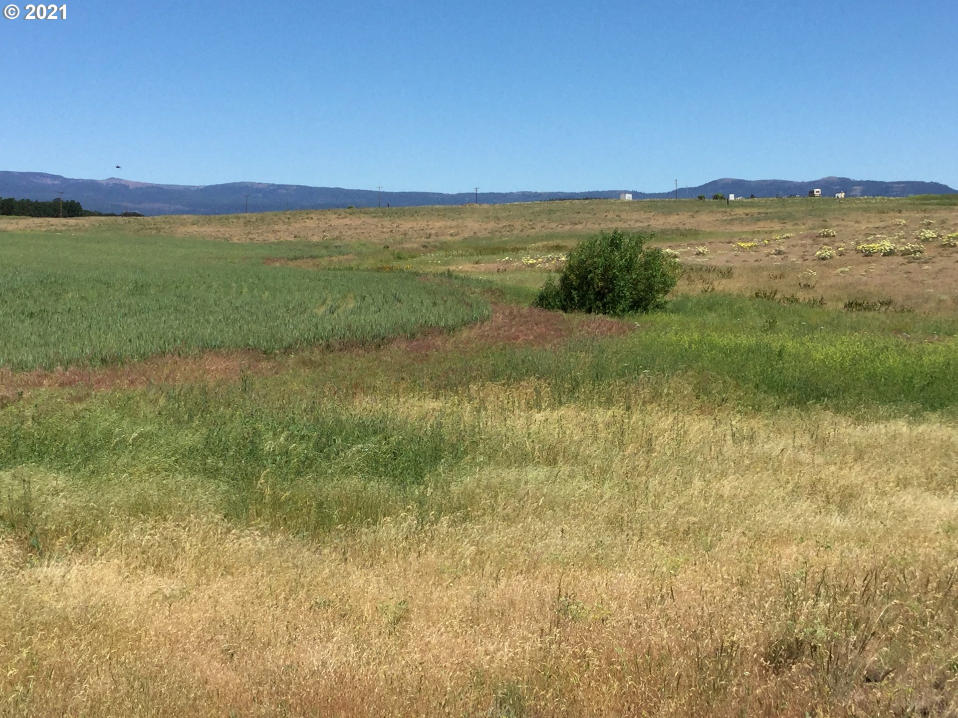719 Woodland Road, Unit 2 Goldendale, WA 98620 - Photo 6 of 10 Gallery Image 6