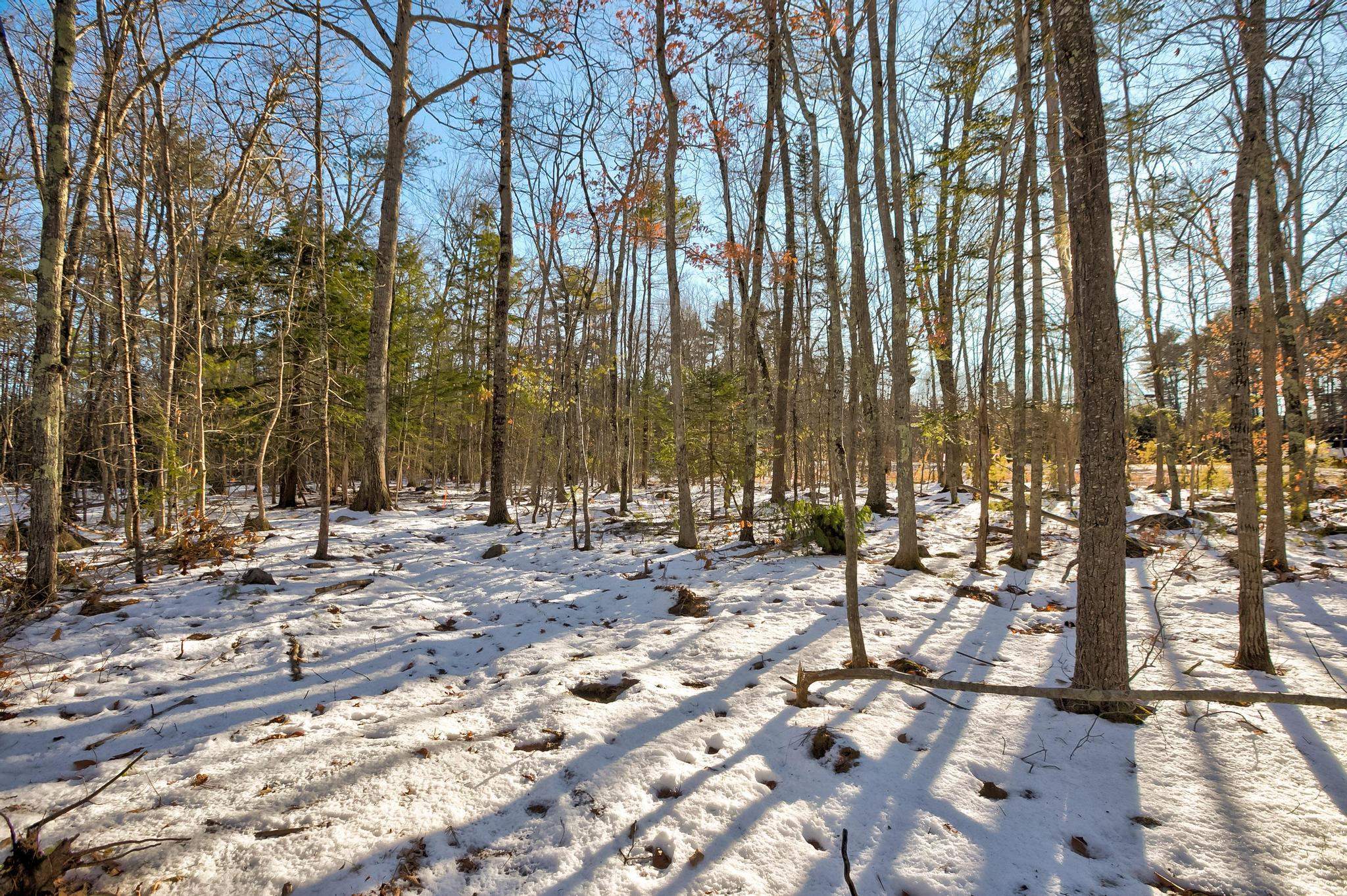 0 Moultonboro Neck Road Moultonborough, NH 03254 - Photo 37 of 47