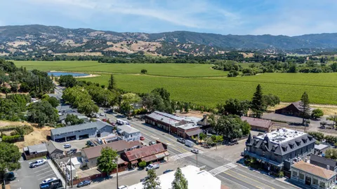 an aerial view of city lake and trees