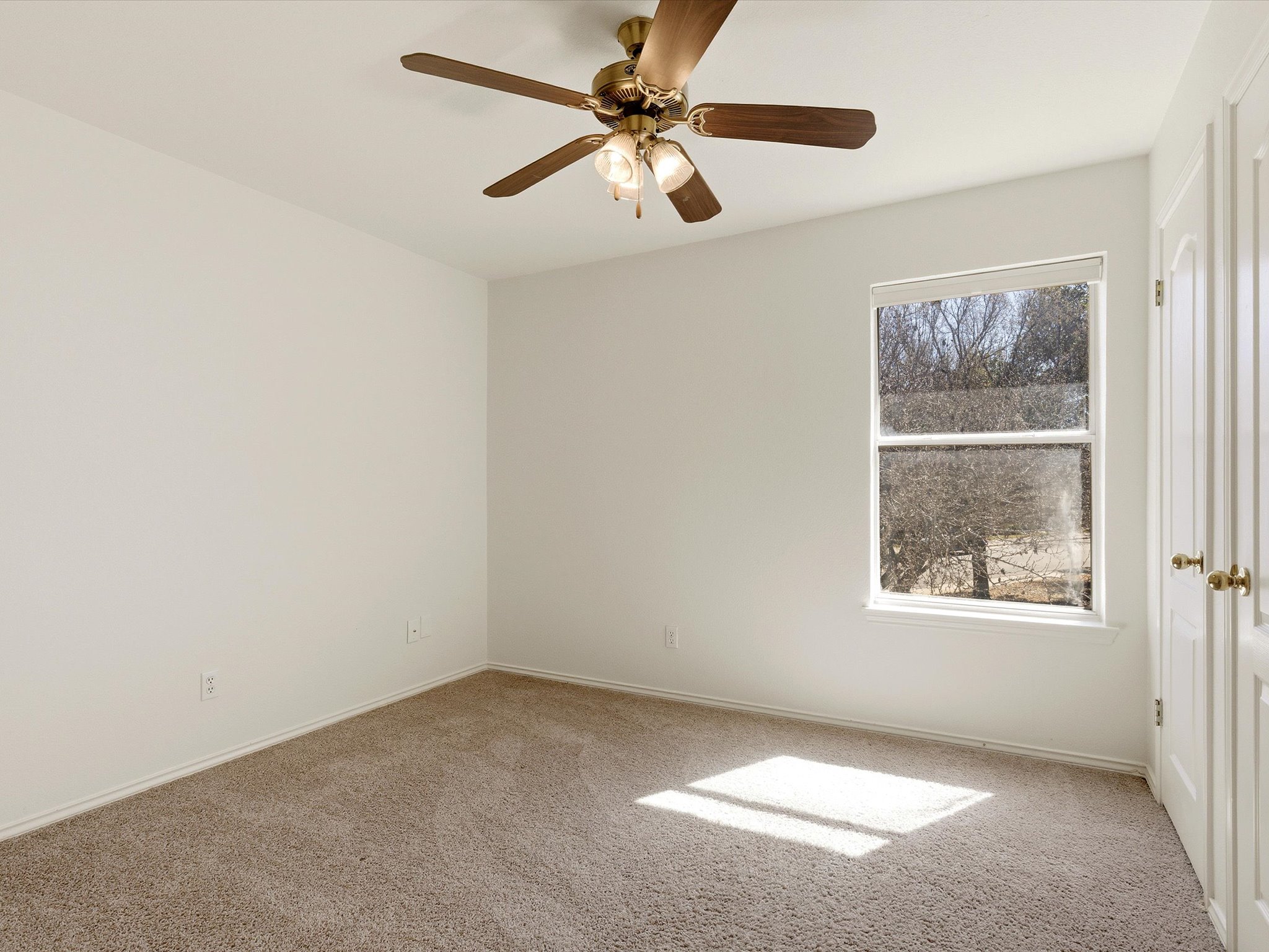 501 River Down Road Georgetown, TX 78628 - Photo 19 of 34