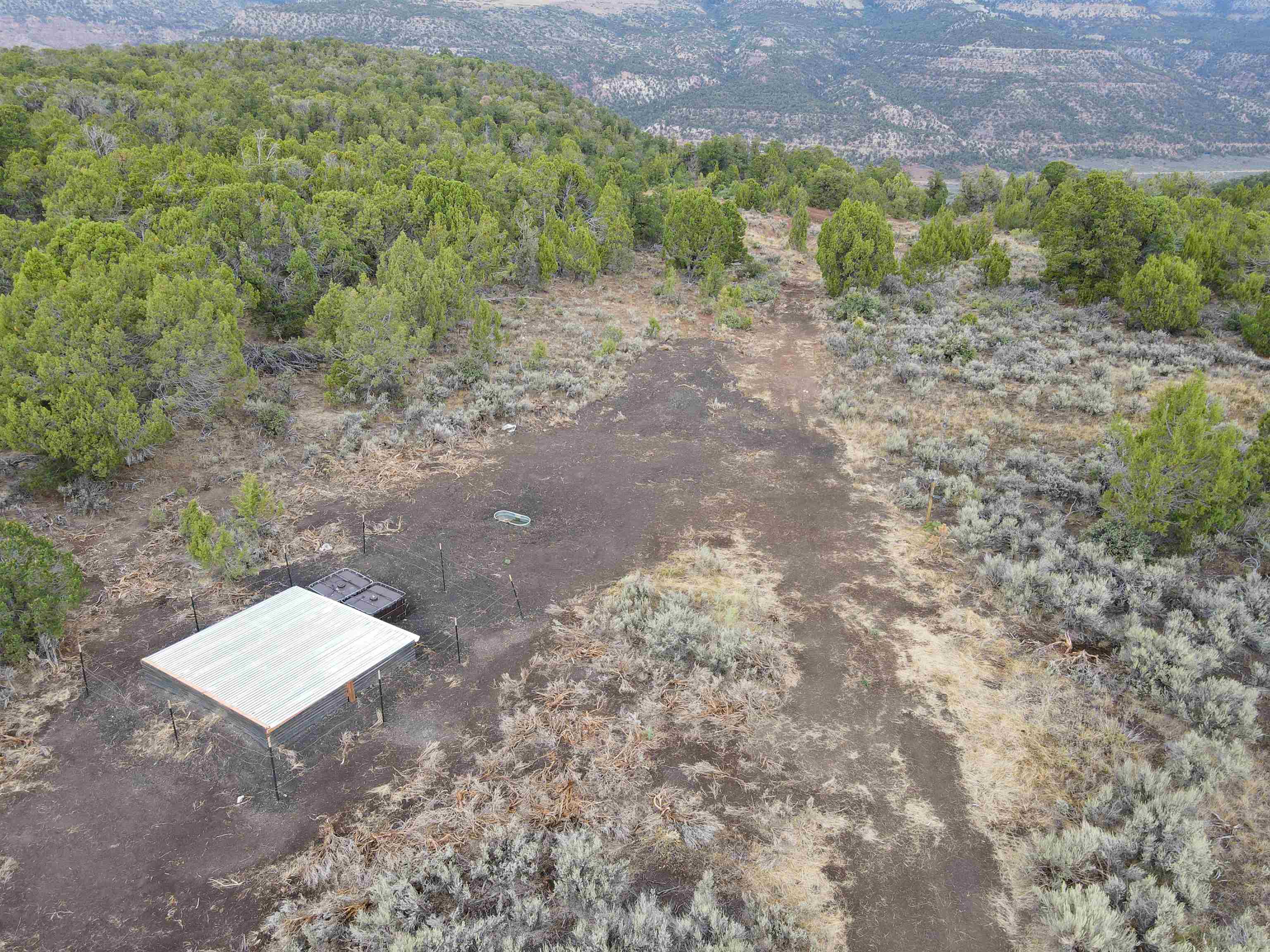 0 X West 1/2 Road De Beque, CO 81630 - Photo 11 of 40 a view of a yard with a tree