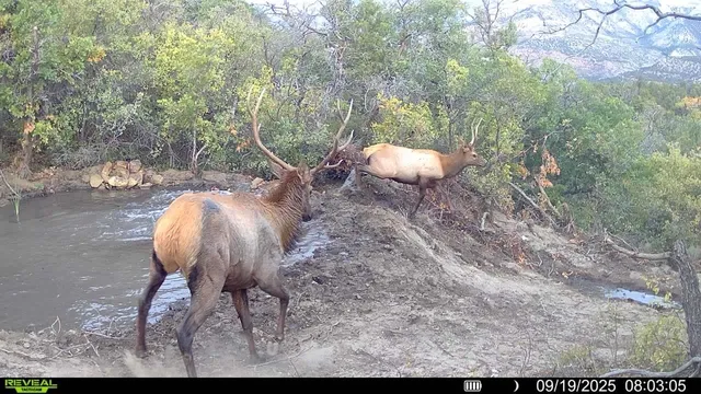a view of a room with a trees